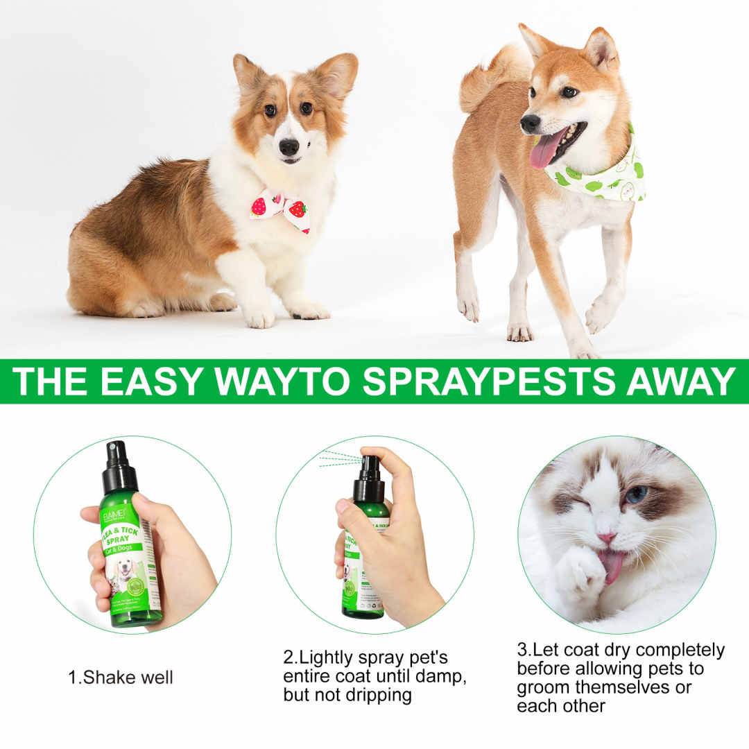 How to use the Elaimei Pet Anti Flea Tick Spray for Dogs Cats