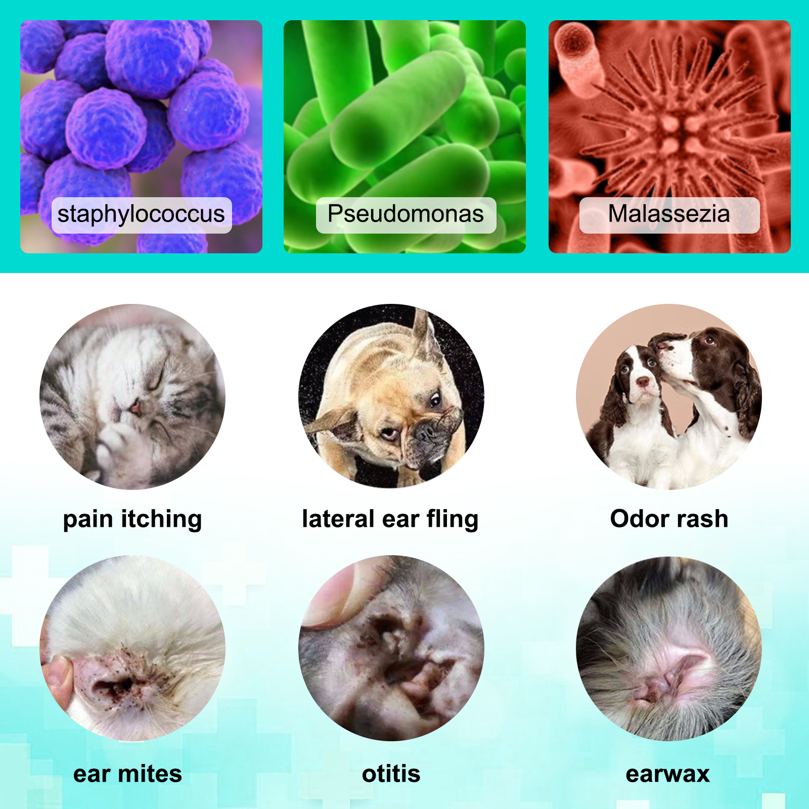 Elaimei Pet Ear Care Mite Canal Dog Cat Parasite Remover Killer Protection Drops Repel Cleaner Otic Itching Odours Fungal